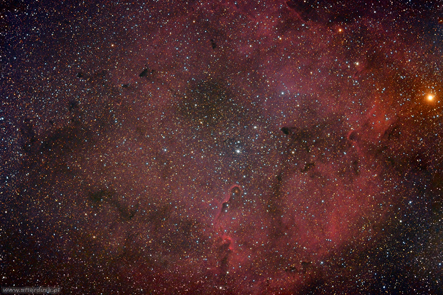 IC1396
