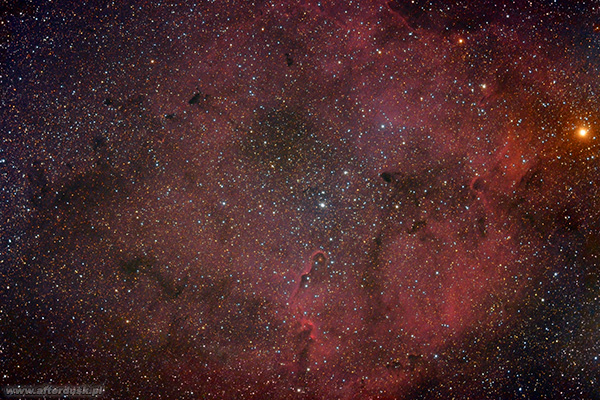 IC1396