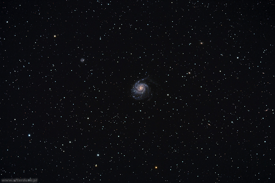 M101