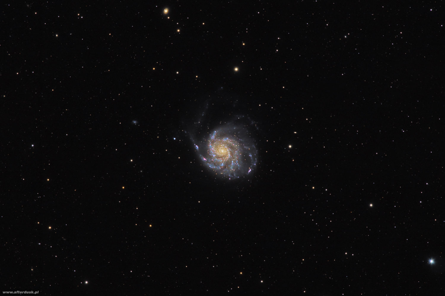 M101