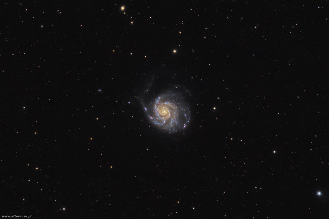 M101