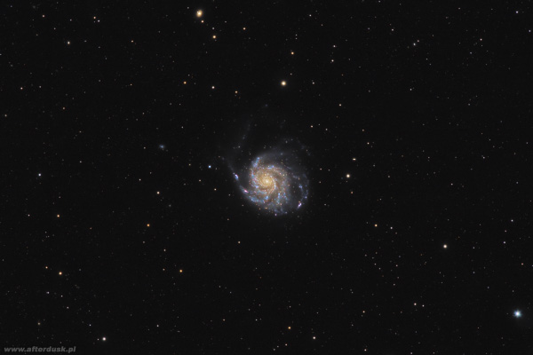 M101