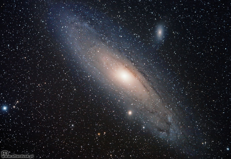 m31