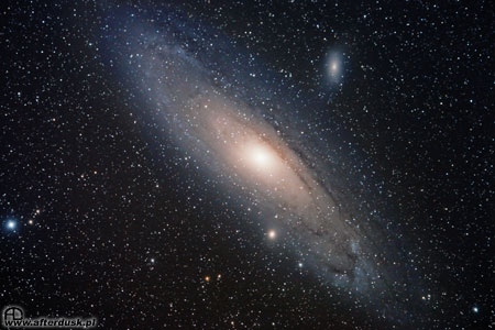m31