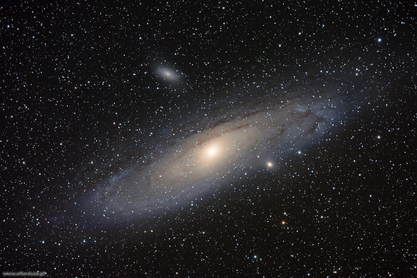 m31