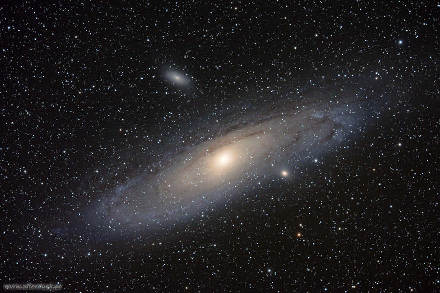 m31