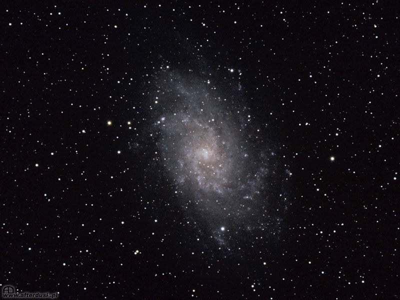M33