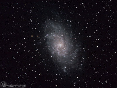 M33