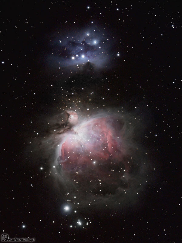 M42