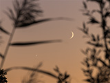 2021.10.09, Księżyc i Wenus