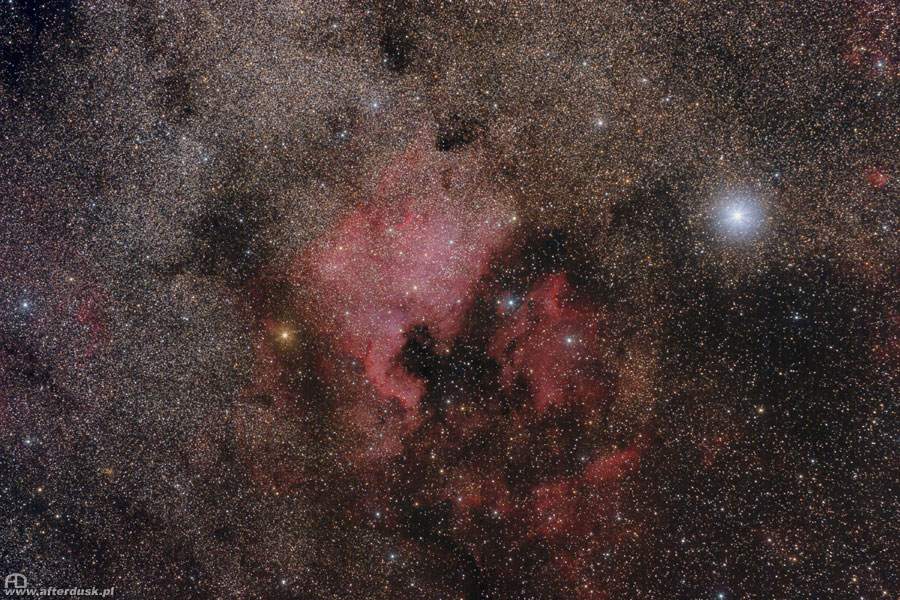 NGC7000