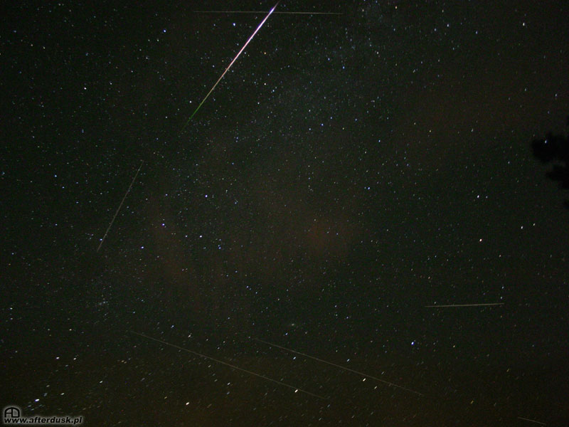 Perseidy 2004