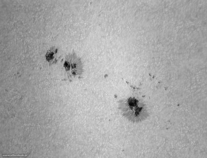 AR 2010