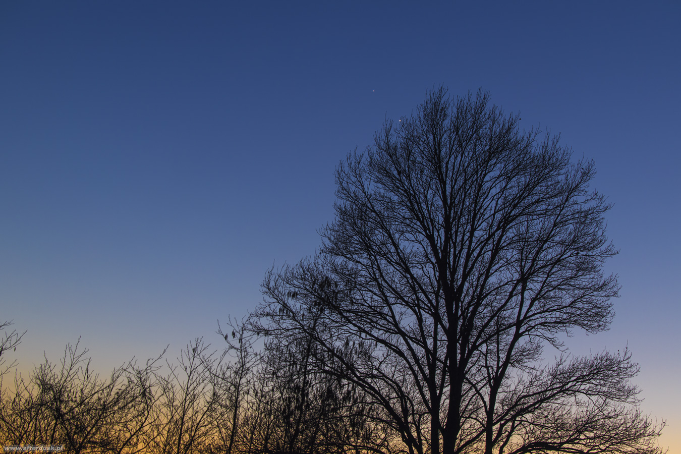 Wenus i Jowisz, 28.02.2023, 17:14UT