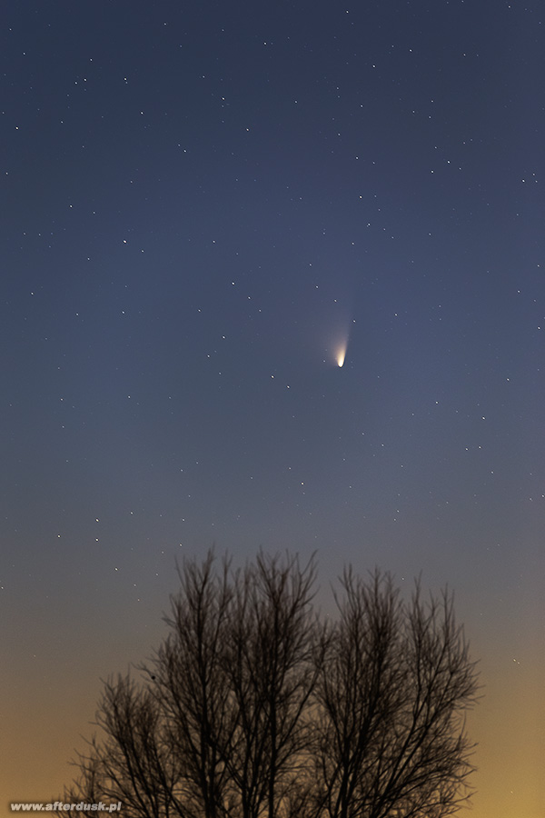 C2011L4 PANSTARRS
