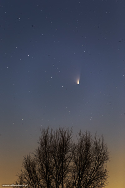 C2011L4 PANSTARRS