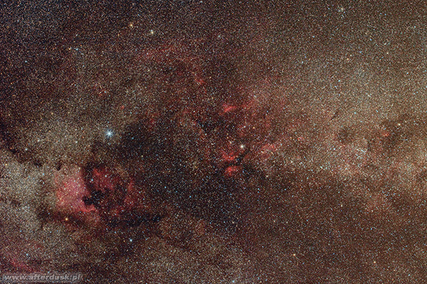 Centralna część gwiazdozbioru Łabędzia