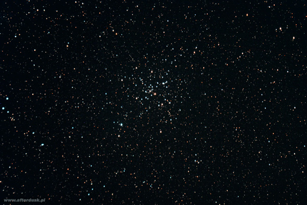 M41