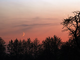 2008.11.01, Księżyc i Wenus