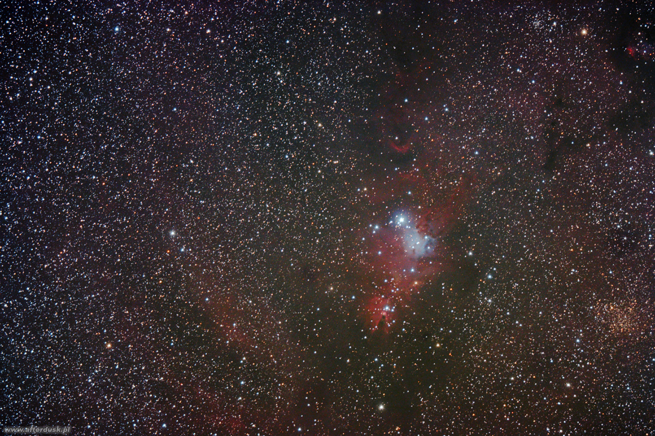 NGC2264