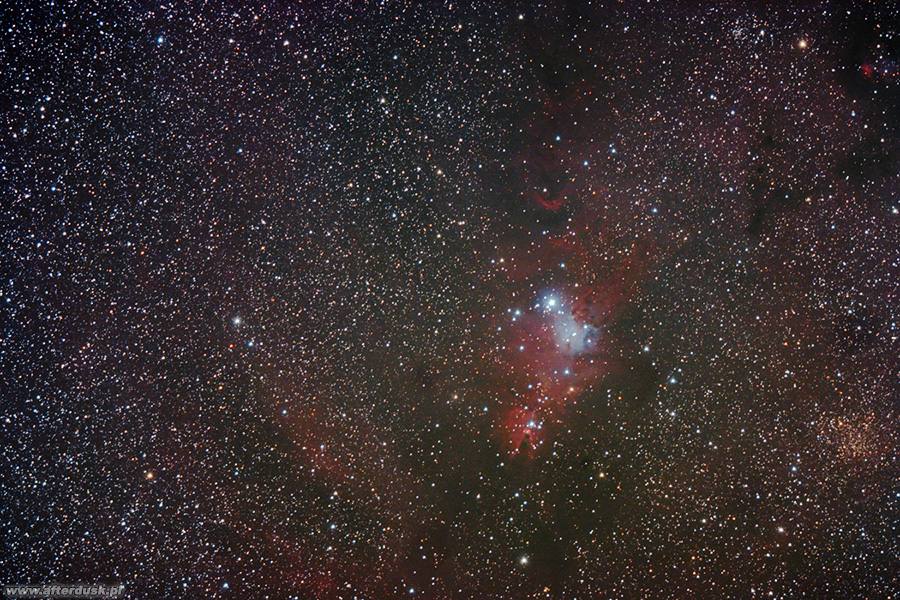 NGC2264