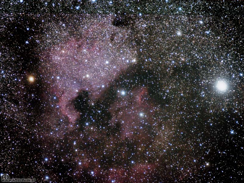 NGC7000