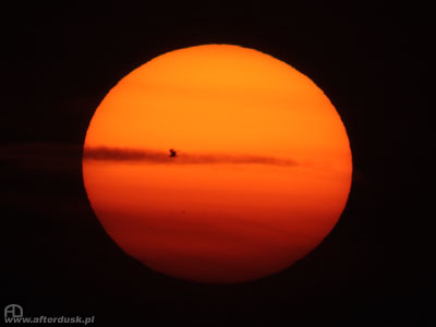Słońce, 2009.07.04